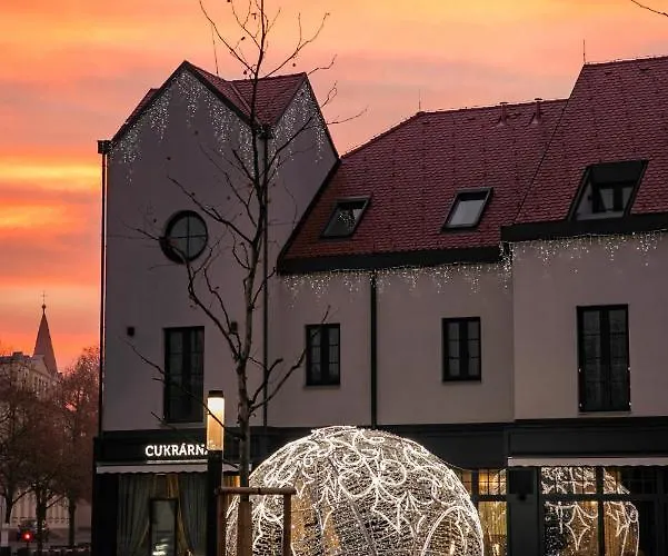 Paloma 4* 프루호니스