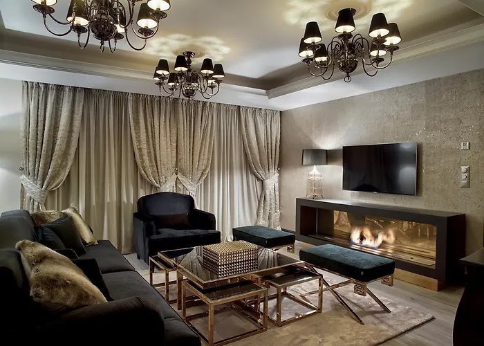 Paloma 프루호니스